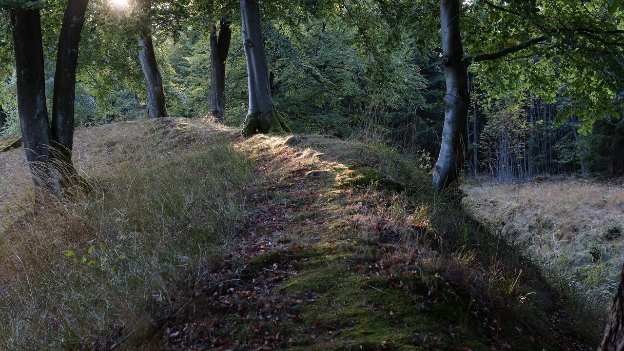 AreaSummer5KM AreaSummer5KM